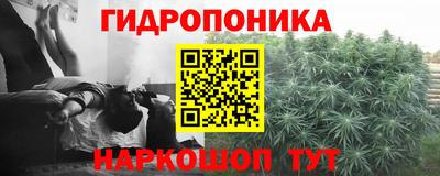 a pvp Дмитров