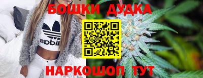 a pvp Дмитров