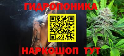 a pvp Дмитров