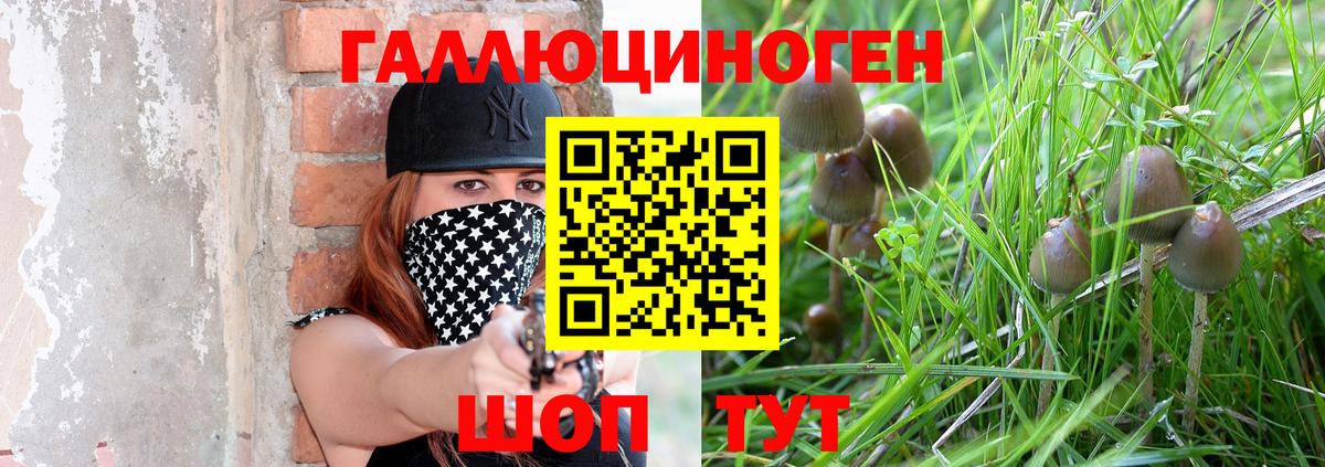 Воскресенск  Галлюциногенные грибы Cubensis  Вход с VPN 